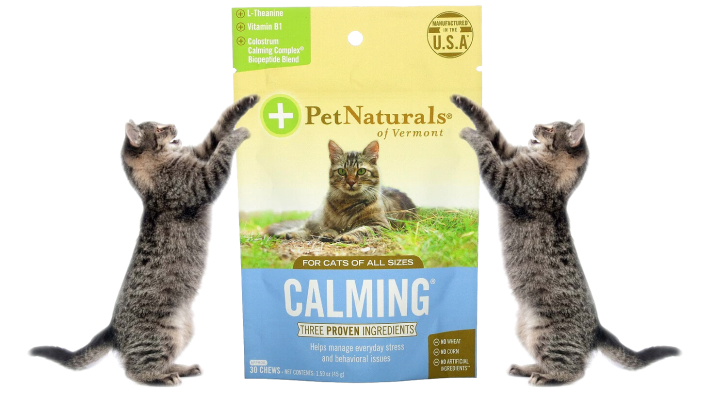 Cats